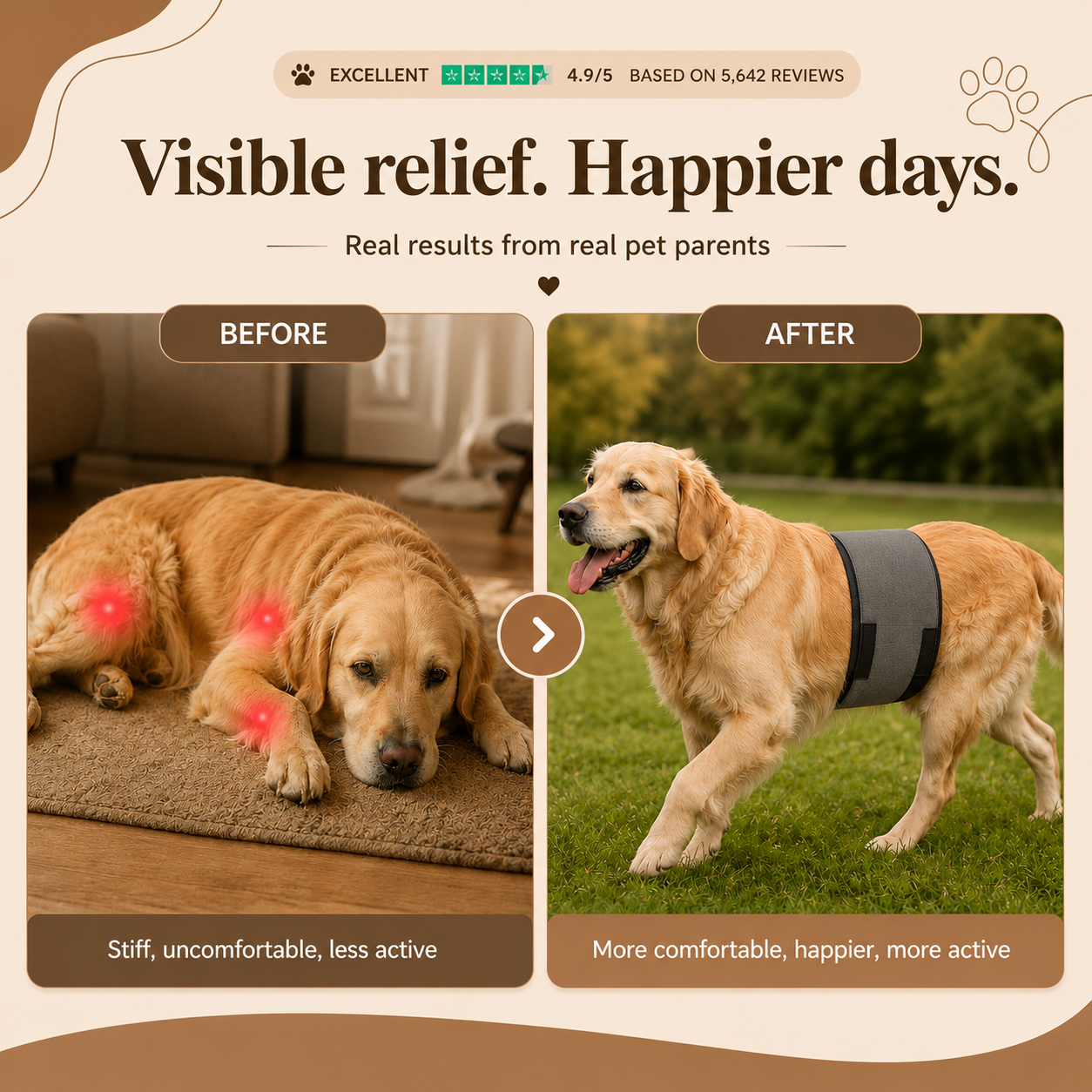 PawLuma™ - Wellness Wrapped In Comfort
